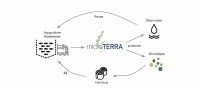 microterra