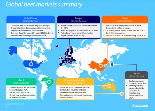global beef data