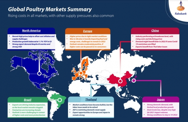 global poultry markets April 2022 Rabobank outlook