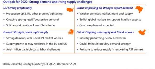 poultry industry outlook december 2021 rabobank