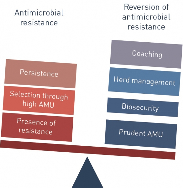 Suggested actions to tip the balance towards reversion of antibiotic resistance
