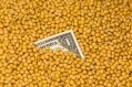Soybean meal price outlook 