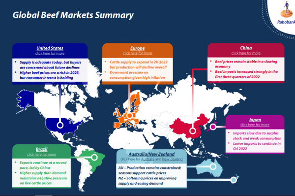 overview beef quarterly rabobank
