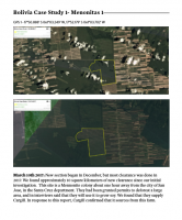 Bolivia case study new Mighty Earth report