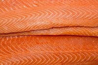 salmon fillets Lester120 istock