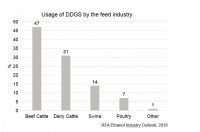 DDGS usage in feed sector
