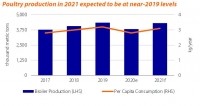 poultry production trend India rabobank 2020