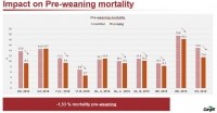 pre weaning mortality