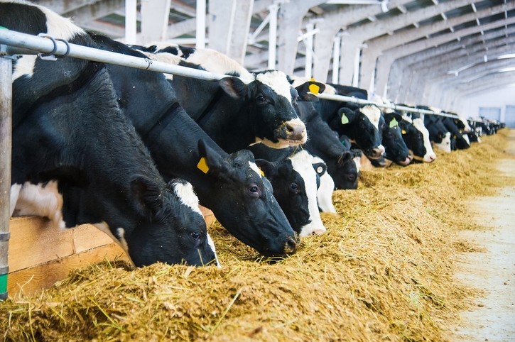 Collaboration to cut GHG emissions on US dairy farms  