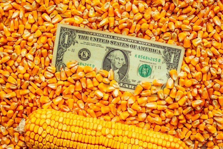 Tumbling corn prices 
