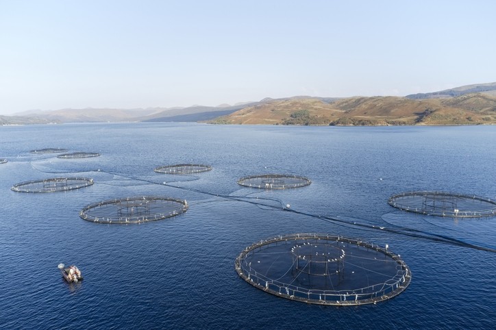 An integrated health management system for aquaculture production 