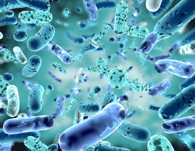 Use of eubiotics is on the rise 