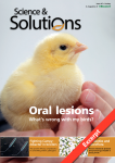 What’s wrong with my birds? Part 1: Oral lesions