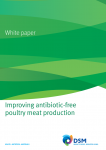 Improve antibiotic-free poultry meat production