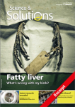 What’s wrong with my birds? Part 3: Fatty Liver