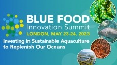 Download the Blue Food Innovation Summit Brochure
