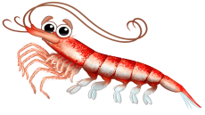 Join the Race to Replace Krill in Aquafeeds