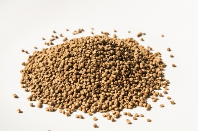 What is the low-down on the fishmeal market?