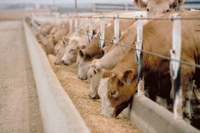 Tyson wins nearly $1 million in cattle feeding lawsuit