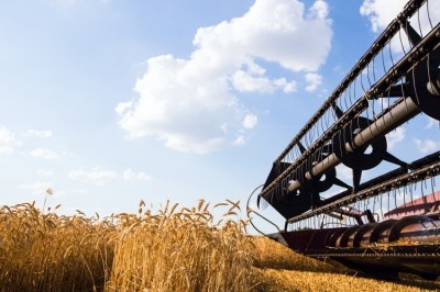 'While there is still plenty of wheat around from the previous campaign, there are signals the market is tightening.' © istock/ollinka 