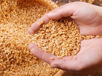Producers told to stay on high alert to deal with mycotoxin challenge