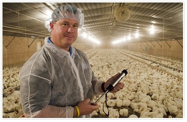 Perdue says it is supporing the chicken's digestive system by adding pre- and probiotics to feed