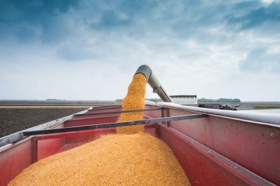 US crop progress report: Corn harvest at 93% complete, soy at 95%