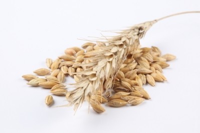 Limited feed wheat availability sees hike in oat usage by UK compounders