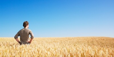 BC farmers face grain shortages