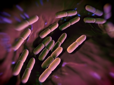 Two awards to be handed out in the 2016 edition of the EPA probiotics research prize [pic (c) istock.com/royaltystockphoto]