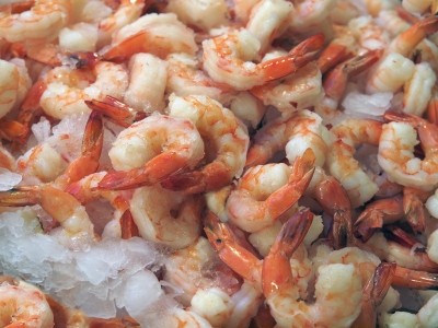 Cargill sets out its aqua feed ambitions as it invests $30m in Ecuador shrimp feed sector
