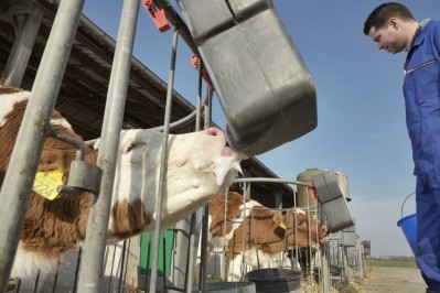 Nutreco looks to develop research on mechanisms behind dairy calf nutrition