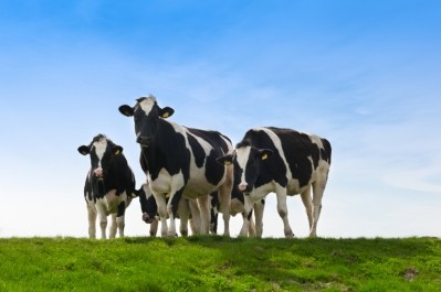 Novartis deal will boost Elanco's cattle vaccine portfolio