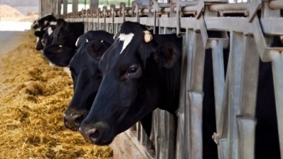 Antioxidants hold promise for ruminant productivity but mode of action not fully understood: researcher