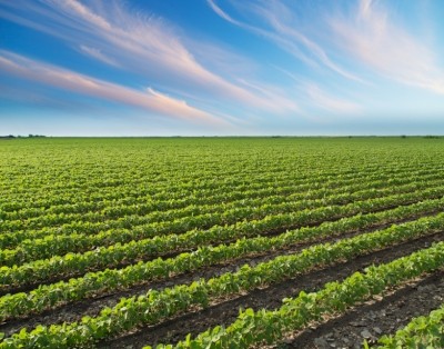 Cargill, ADM and Cefetra's soy standards rated as compliant with FEFAC sourcing guidelines