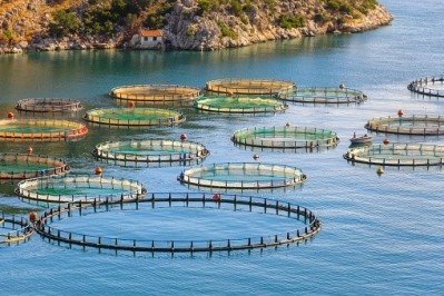 The firm is initially hoping to secure deals in the aquaculture sector.  ©GettyImages
