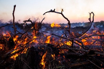 Fires blaze on Propieded Valle Verde in Bolivia. © Jim Wickens/Ecostorm