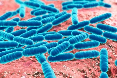 Novozymes and Adisseo building pipeline of bacillus based probiotics