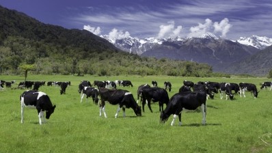 How will lower feed costs impact dairy market dynamics?