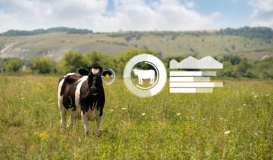 Doing more with the same or fewer resources: Does smart farming also mean smart feeding? 