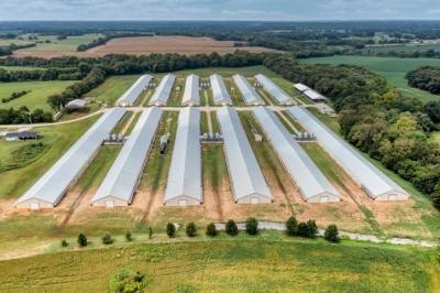 Aerial view of poultry houses in Tennessee, US © GettyImages/Carl Banks