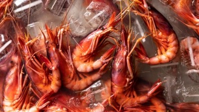 Shrimp have successfully been fed SCPs as an alternative protein source Getty | MesquitaFMS