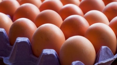 Supplementing feed with Cysteamine was found to improve egg yolk colour without impacting quality. Image: Getty/Gill Copeland