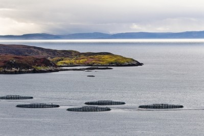 Fish farm cages off the island of Scalpay on Lewis and Harris in Scotland. © GettyImages/lucentius