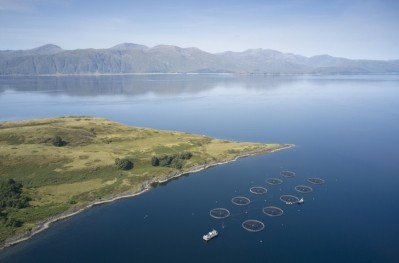 Fish farm, Loch Awe Arygll and Bute, Scotland © GettyImages/richard johnson