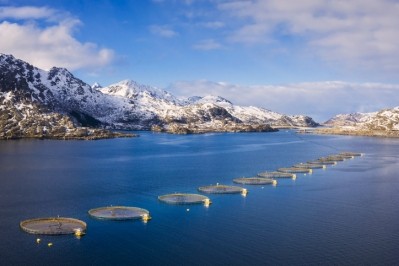 Salmon fish farm in norwegian fjord, Lofoten, Norway © GettyImages/DieterMeyrl