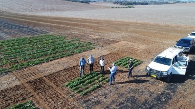 Pacific Seeds and CSIRO representatives at the 2021 Wallendbeen NSW Hyola TD winter performance and hybrid phenology trials © Pacific Seeds  