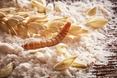 Mealworm © Ÿnsect 