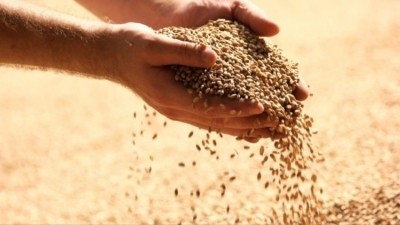 The global animal feed market is projected to exceed $960bn by 2030. Credit: Ohly