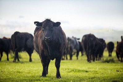Walmart acquires minority stake in Sustainable Beef